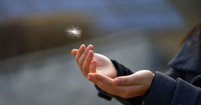 Nhàn cư vi bất thiện: Nhàn rỗi có thể mài mòn ý chí con người