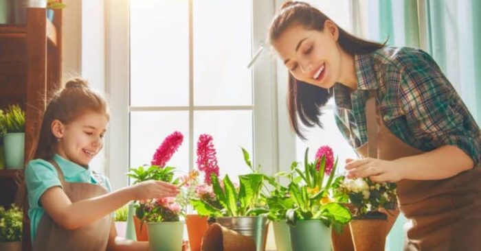 Phong thủy khi bước vào cửa: "3 thấy 4 không thấy"