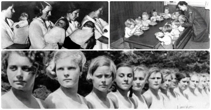 Suối nguồn sinh mệnh: Chương trình tạo ra chủng người siêu việt trong lịch sử